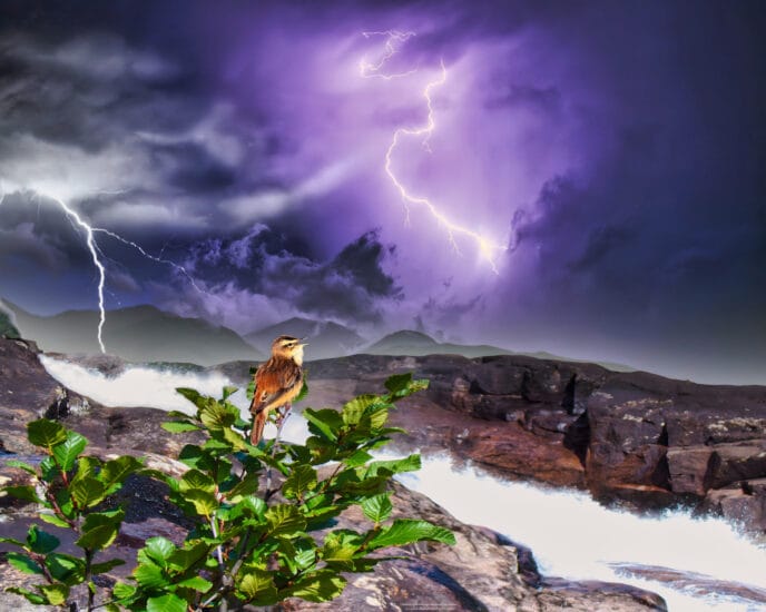 Peace in the Storm