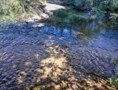 River Mouth River Mouth