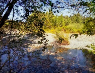 River Dream River Dream